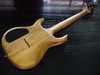 carvin custom 4.jpg